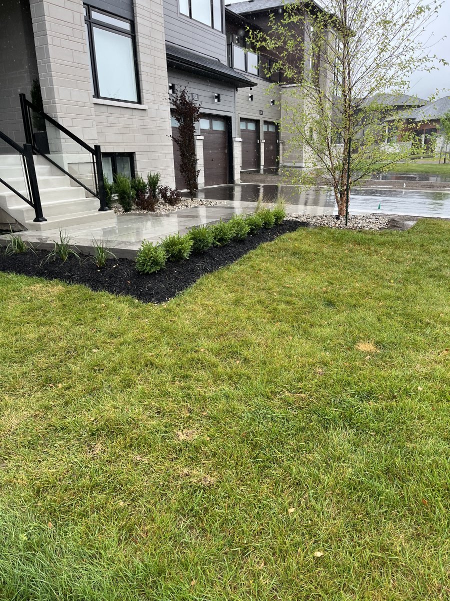 Fresh Sod & Garden Bed Frontage