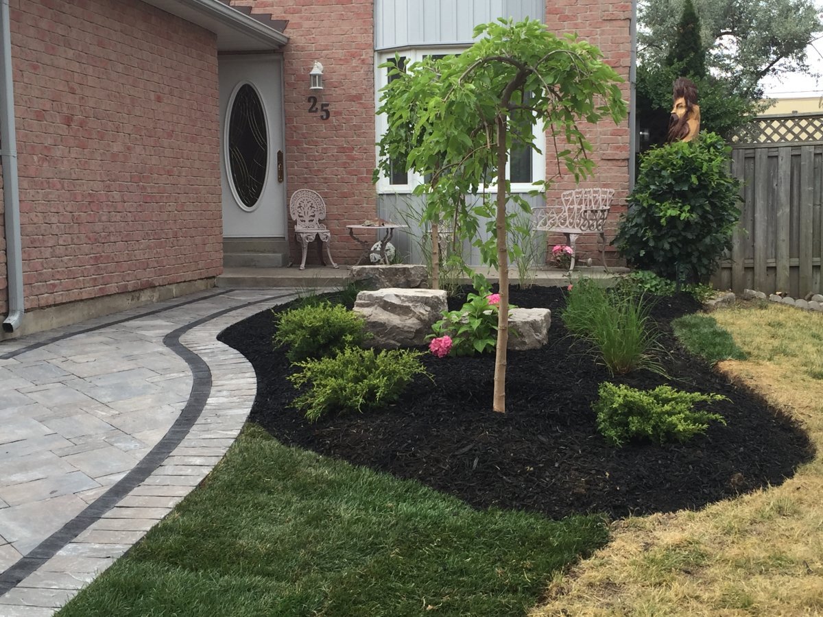 Front Yard Garden & Walkway